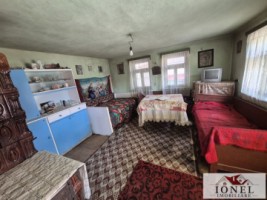 vanzare-casa-in-henig-6