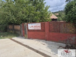 vanzare-casa-in-henig-10