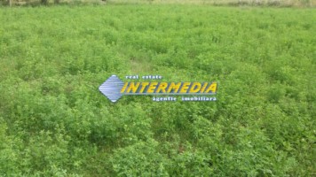 teren-intravilan-de-vanzare-700mp-in-zona-alba-micesti-utilitati