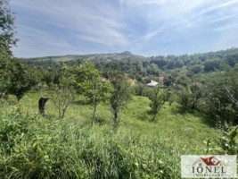 teren-intravilan-de-vanzare-in-metes-ampoita