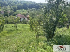 teren-intravilan-de-vanzare-in-metes-ampoita-5