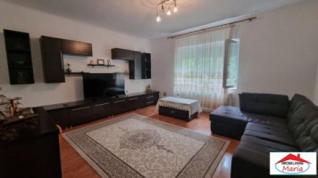 casa-solida-situata-semicentral-cu-acces-auto-163000-euro-3