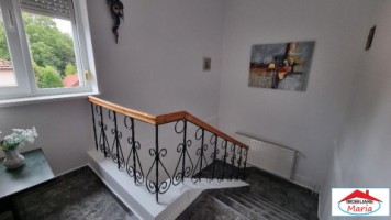 casa-solida-situata-semicentral-cu-acces-auto-163000-euro-7