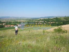 teren-de-vanzare-zona-oarda-920-mp-0