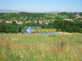 teren-de-vanzare-alba-3000-mp-0