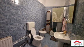 casa-in-zona-titulescu-220000-euro-8