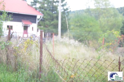 teren-intravilan-situat-in-bustenivalea-alba