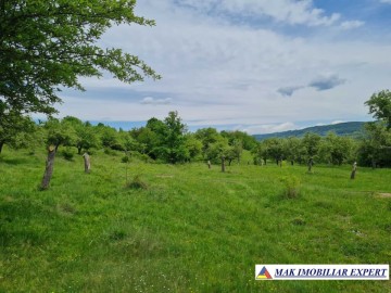 de-vanzare-teren-5000-mp-intravilan-in-stalpeni-arges