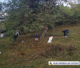 vand-teren-3939-mp-intravilan-in-darmanesti-arges