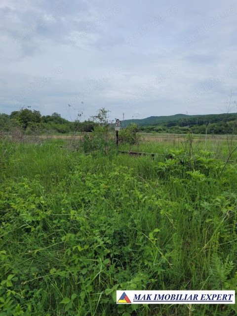 teren-agricol-3009-mp-extravilantitesti-arges