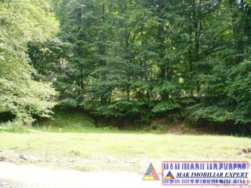 de-vanzare-teren-5000-mp-in-albestii-de-muscel-arges