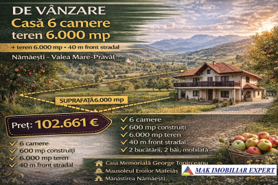 succesiune-oct-2026-casa-6-camere-teren-6000-mp-in-namaesti-valea-mare-pravat-ag