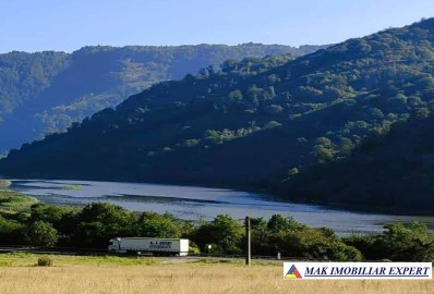 padure-260-ha-pe-valea-oltului-in-balota-racovita-valcea