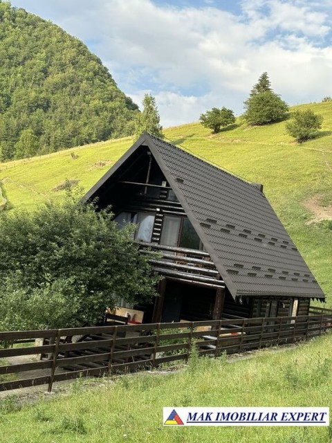 cabana-4-cam-la-munte-teren-3200-mp-in-dambovicioara-arges