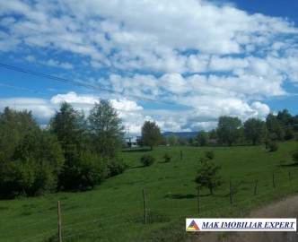 vand-teren-2946-mp-intravilan-pe-cretisoara-campulung-arges