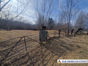 vand-teren-intravilan-6000-mp-in-nucsoara-arges