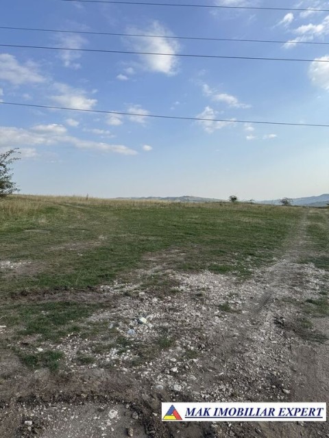 oportunitate-teren-1-ha-pe-mateias-valea-mare-pravat-arges