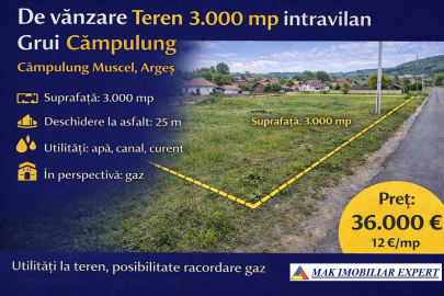teren-3000-mp-intravilan-in-grui-campulung-muscel-arges