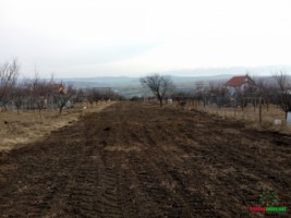 teren-intravilan-de-vanzare-in-daia-noua-4