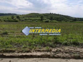 teren-ideal-pentru-constructii-zona-blaj-8800-mp-1