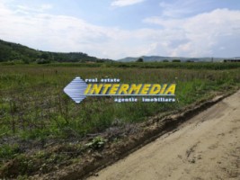 teren-ideal-pentru-constructii-zona-blaj-8800-mp-4