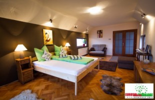 casa-modern-mobilata-de-inchiriat-in-sibiu-1