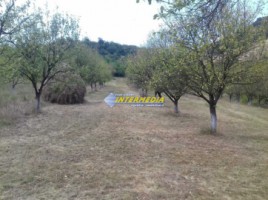 teren-de-vanzare-7000-mp-in-zona-vintu-de-jos-1