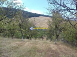 teren-de-vanzare-7000-mp-in-zona-vintu-de-jos