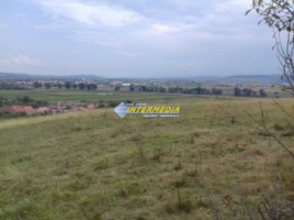 teren-de-vanzare-7000-mp-in-zona-vintu-de-jos-2