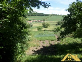 de-vanzare-casa-la-tara-2