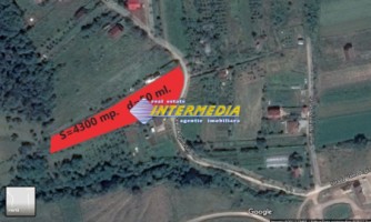 teren-intravilan-de-vanzare-alba-micesti-4344-mp-l-49-m