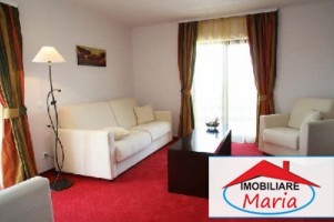 spatiu-hotel-pensiune-de-vanzare-in-satu-mare-tasnad-1