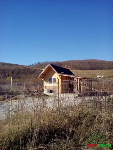 teren-intravilan-de-vanzare-suprafata-10000-mp-zona-cristian-3