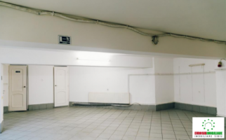 spatiu-comercial-de-inchiriat-zona-calea-dumbravii-1