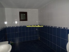 casa-de-vanzare-micesti-3