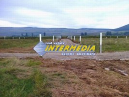 teren-intravilan-vanzare-alba-prelungire-orizont-sesuri-456-mp-1