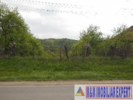 teren-economic-de-1400-mp-intravilan-de-vanzare-in-campulung-muscel-arges-oportunitate-pentru-afaceri