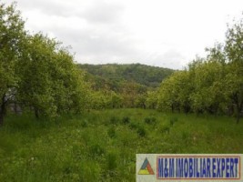 teren-economic-de-1400-mp-intravilan-de-vanzare-in-campulung-muscel-arges-oportunitate-pentru-afaceri-1