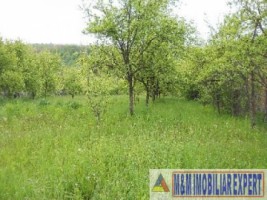 teren-economic-de-1400-mp-intravilan-de-vanzare-in-campulung-muscel-arges-oportunitate-pentru-afaceri-4