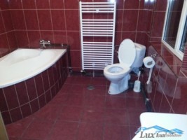 lux-imobiliare-vinde-casa-zona-valea-borcutului-67000-euro-14