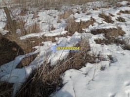 teren-de-vanzare-356mp-alba-micesti-3