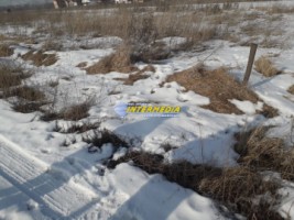 teren-de-vanzare-356mp-alba-micesti-2