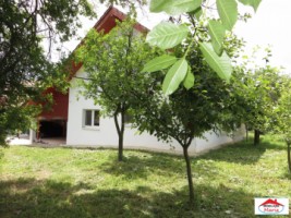 casa-de-vanzare-in-satu-mare-viile-satu-mare-id-16830-12