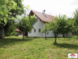 casa-de-vanzare-in-satu-mare-viile-satu-mare-id-16830-18