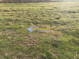 teren-de-vanzare-zona-sard-parcele-cuprinse-intre-750-mp-si-1300-mp-toate-utilitatile