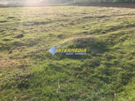 teren-de-vanzare-zona-sard-parcele-cuprinse-intre-750-mp-si-1300-mp-toate-utilitatile-3