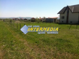 teren-intravilan-situat-intre-alba-si-micesti