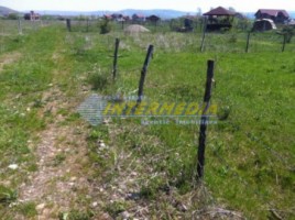 teren-intravilan-situat-intre-alba-si-micesti-4