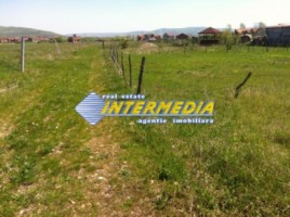 teren-intravilan-situat-intre-alba-si-micesti-5