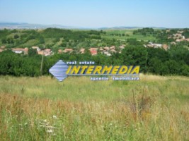 teren-de-vanzare-alba-3000-mp